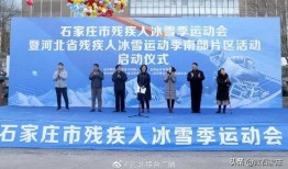 石家庄残疾人最新爆料,最新爆料揭示困境与呼声
