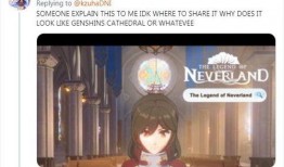 国外玩家爆料原神视频,神秘角色与全新地图揭秘